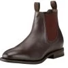 Boots Dress Ariat Stanbroke Chestnut Mens