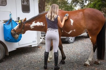 Light Grey Kate Breech By QJ Riding Wear - Image 2